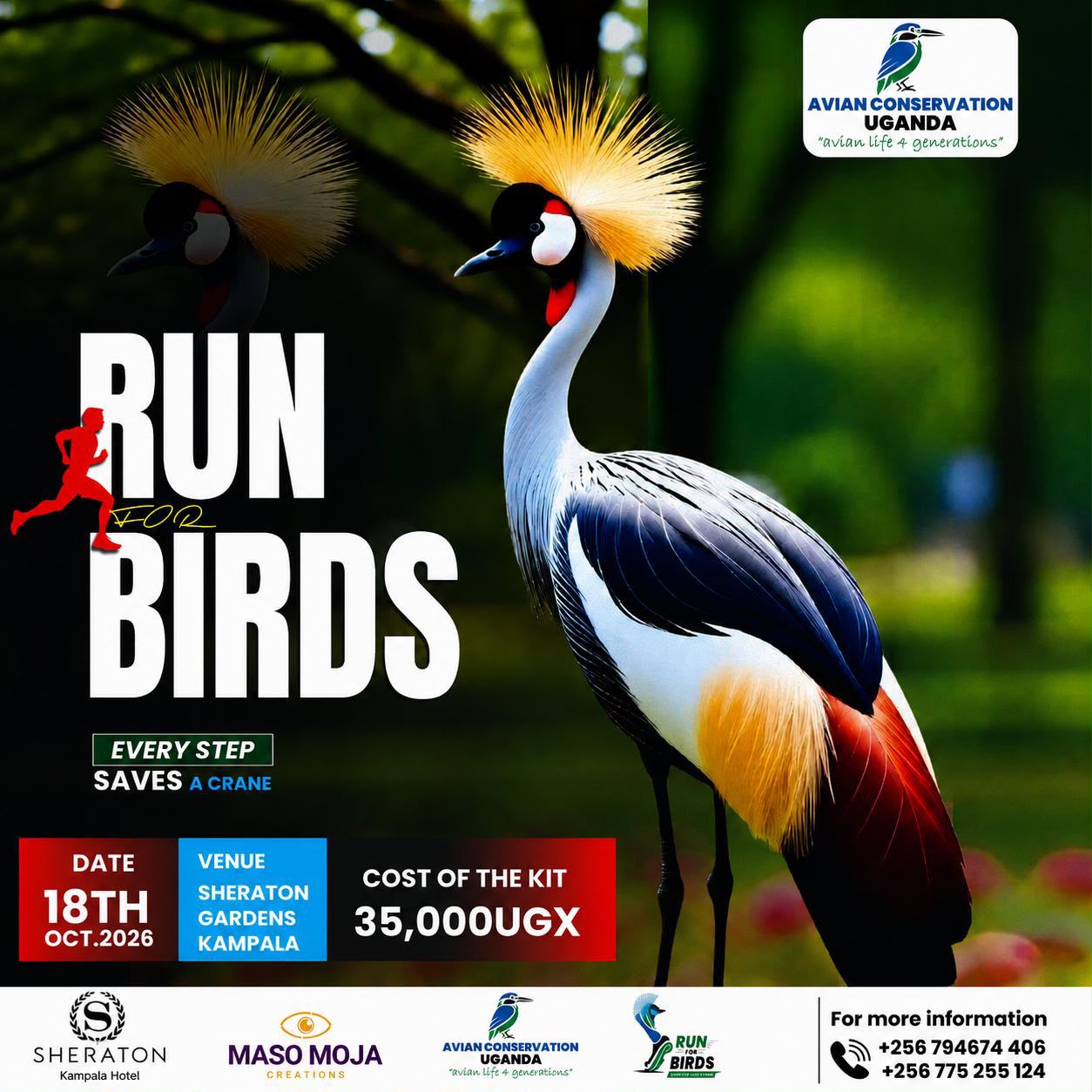 Avian Conservation Uganda - Run for Bird